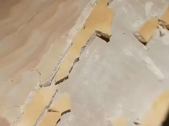 使用案例视频